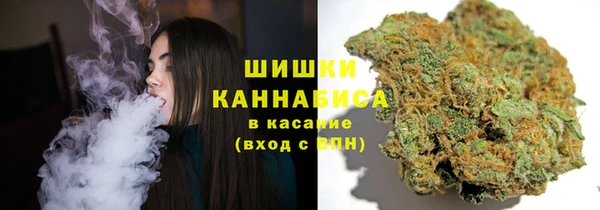 трава Арсеньев