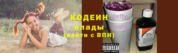 трава Арсеньев