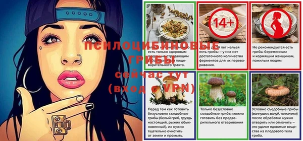 гидропоника Аркадак
